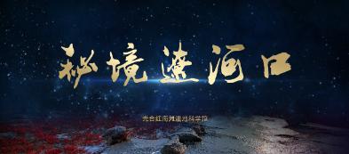 赵薇与林心如:演技之争与张铁林的独特见解
