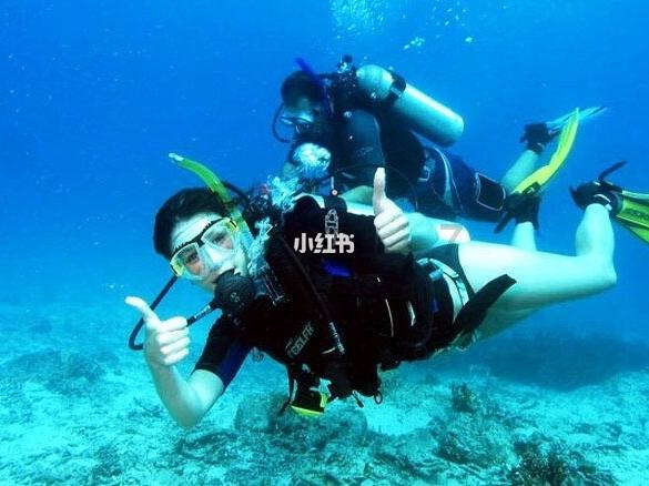 精灵的冒险之旅